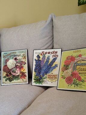 Framed Vintage Flower Seed Pictures